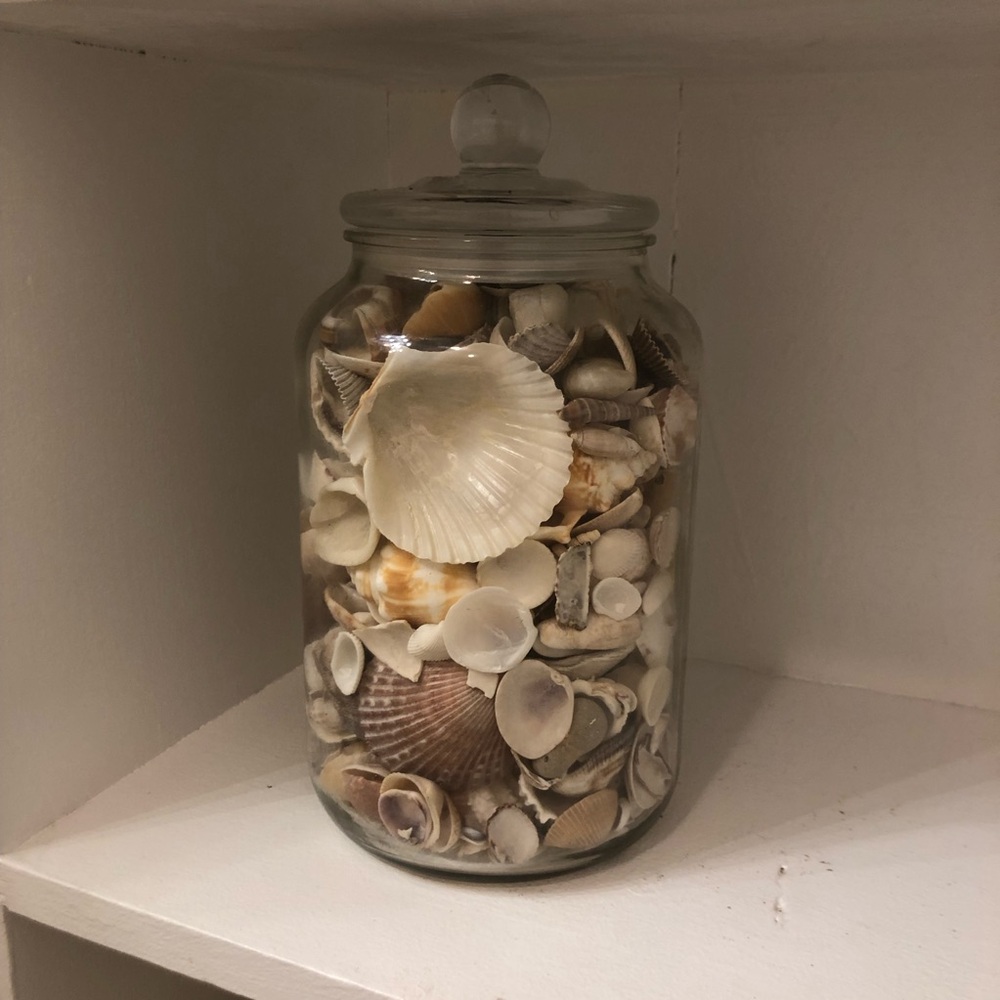 Large Seashell Glass Jar